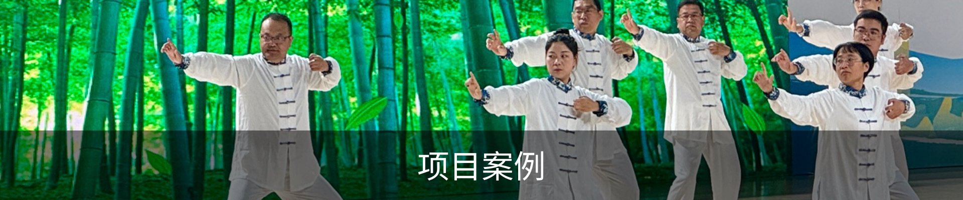 项目案例