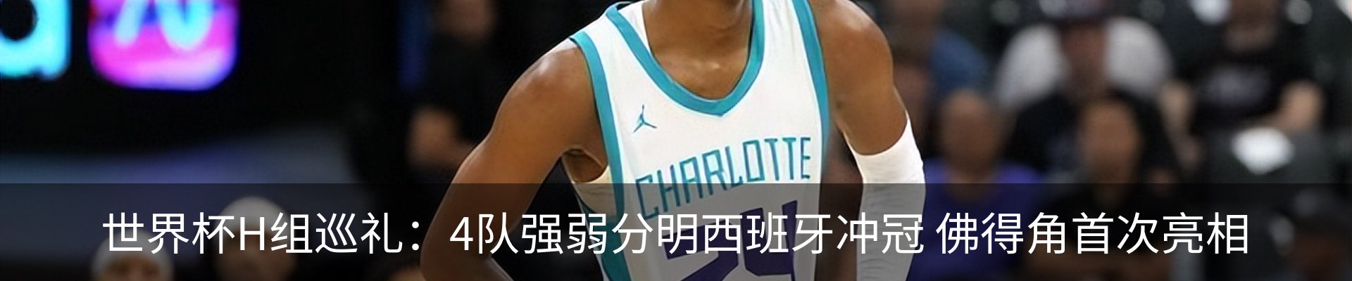 最新动态